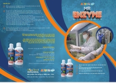 MR ENZYME trị nấm, tảo