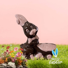 Leopon Rabbit