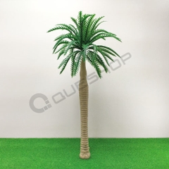 Cây Cau Mẫu 4