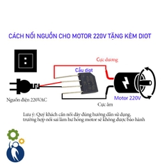 Motor Giảm Tốc 220V 300W 55rpm Mô Men Xoắn 200kg.cm Tặng Kèm Diot