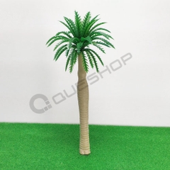 Cây Cau Mẫu 4