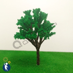 Cây Khô Mẫu 24