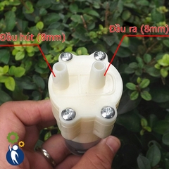 Máy Bơm Nước Mini 12-24V Tự Mồi