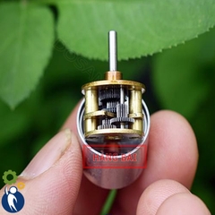 Motor Giảm Tốc 3-6V 42-82rpm Mã GA16R Bánh Răng Kim Loại