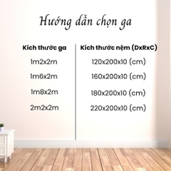 Bộ 5 món drap áo gối và mền cotton light sọc hồng ruốc