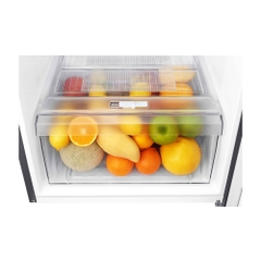 Tủ lạnh LG inverter 225 lít GN-L208PS