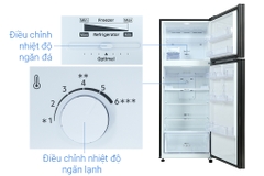 Tủ lạnh Samsung Inverter 460 lít RT46K603JB1/SV