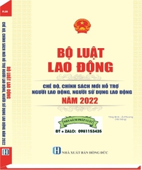 Sách Bộ Luật Lao Động Chế Độ, Chính Sách Mới Hỗ Trợ Người Lao Động, Người Sử Dụng Lao Động 2022