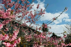 Combo Vé Cáp Treo Fansipan Và Ăn Tối Bản Mây