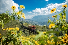 Combo Vé Cáp Treo Fansipan Và Ăn Tối Bản Mây