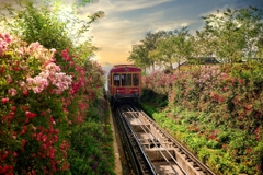 Vé Cáp Treo Fansipan - Nhanh Chóng, Uy Tín, Giá Tốt Nhất