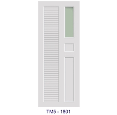 Cửa nhựa lắp ghép TM5 5801-1801
