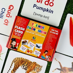 Bộ Thẻ Học Thông Minh 15 Chủ Đề Loại To Song Ngữ Anh - Việt Glenn Doman Flashcard Cho Bé Từ 0-6 Tuổi
