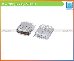 Chân USB Type A loại Cái kiểu 1