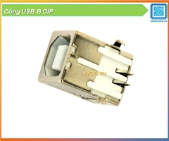Cổng USB B DIP