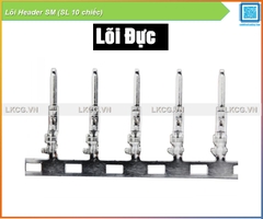 Lõi Header SM (SL 10 chiếc)