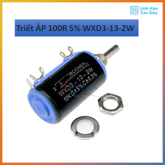 Triết ÁP 100R 5% WXD3-13-2W