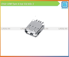 Chân USB Type A loại Cái kiểu 2