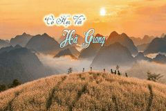 Tour Hà Giang 2 ngày 3 đêm - Thứ 6 hàng tuần