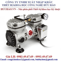 Bơm chân không không dầu V800 WIGGENS