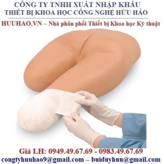 MÔ HÌNH CHĂM SÓC MỎM CỤT W44228 3B SCIENTIFIC