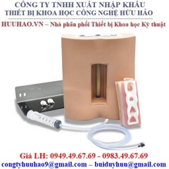 Mô hình thực hành chọc dò tủy sống Gaumard S411.PK