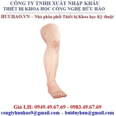 Mô hình rạch khâu vết thương chân Nasco LF01034U