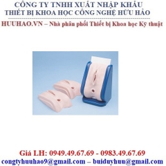 MÔ HÌNH THỰC TẬP KHÂU TẦNG SINH MÔN