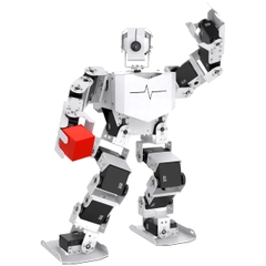 TonyPi Pro Hiwonder Humanoid Robot Professional Development Kit Powered by Raspberry Pi 4B 4GB