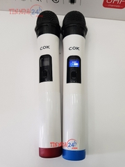 Bộ Micro Không Dây COK ST-300