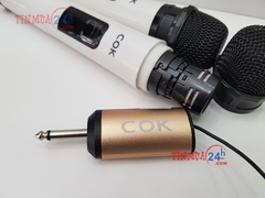 Bộ Micro Không Dây COK ST-300