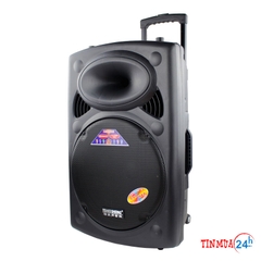 Loa Hát Karaoke Công Suất Lớn DP 2305F