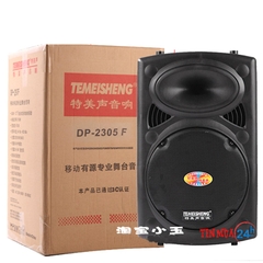 Loa Hát Karaoke Công Suất Lớn DP 2305F