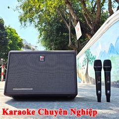 Loa Karaoke Xách Tay Prosing DSP 236X Cao Cấp