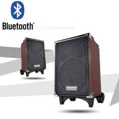 Loa Vali Kéo Q8 Bluetooth