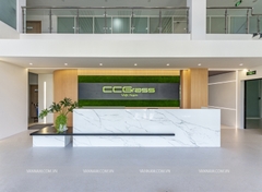 SHOWROOM CỎ NHÂN TẠO CCGRASS