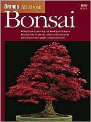 All about Bonsai