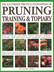 Encyclopedia of Pruning Training and Topiary