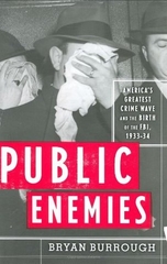 Public Enemies
