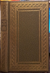 The Flight Of The Falcon The Flight Of The Falcon