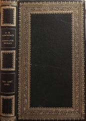 The Lost Girl The Lost Girl