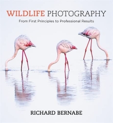 Wildlife Photography Wildlife Photography