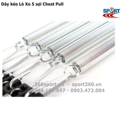 Dây kéo Lò Xo 5 sợi Chest Pull