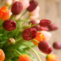Hoa bó Tulip loại cao cấp như thật