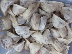 Tổ yến thô cao cấp 100g