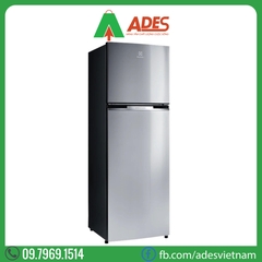 Tủ lạnh Electrolux Inverter ETB3700J-A 350L