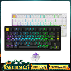 Bàn phím cơ không dây Keychron Lemokey P1 HE Shine Through RGB Hotswap CNC Aluminum (Magnetic Sw)