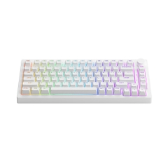 Bàn phím cơ không dây AKKO 5075B Plus White RGB (AKKO Sw V3 Pro)