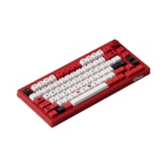 Bàn phím cơ không dây AKKO 5075B Plus World Tour Viet Nam RGB Hotswap (Akko Sw)