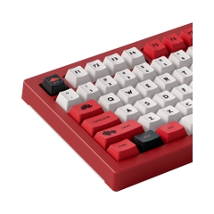 Bàn phím cơ không dây AKKO 5075B Plus World Tour Viet Nam RGB Hotswap (Akko Sw)